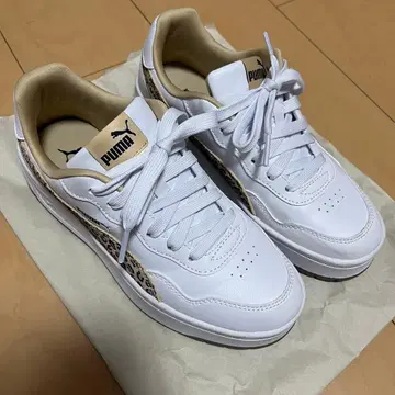 PUMA 코트스카이 랠리 레오 23.5