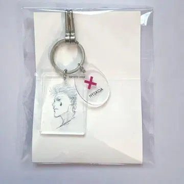 HUNTER x HUNTER 히소카 클리어 베이스 키링