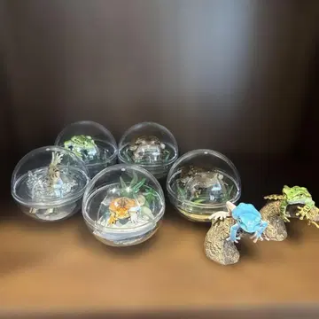 반다이 생물 도감 캡슐 컬렉션 개구리 피규어 세트 7체