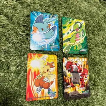 포켓몬 키즈 카드 2005