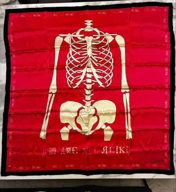 CHARLOTTE SPARRE 골격 디자인 스카프