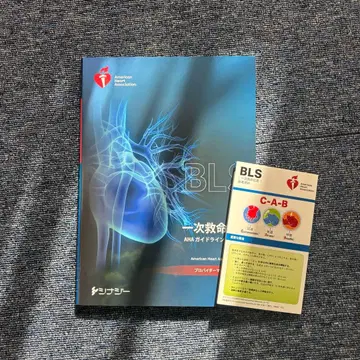 BLS (기본 생명 유지술) 프로바이더 매뉴얼