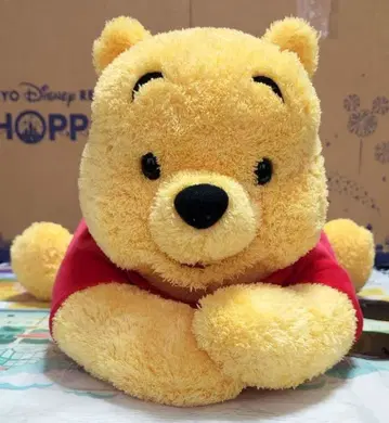 푸우 티슈 케이스