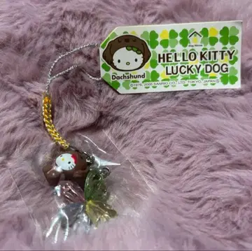 지역 한정 키티 스트랩 닥스훈트 럭키 도그
