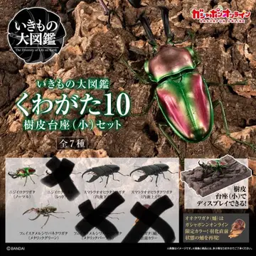 생물대도감 사슴벌레 10 수피음좌 (소) 세트 온라인판 4종 세트