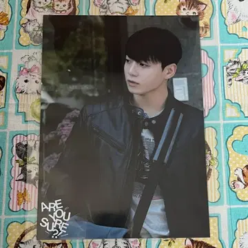 이게 맞아? 국 유니버셜 특전 브로마이드 jungkook BTS 정국