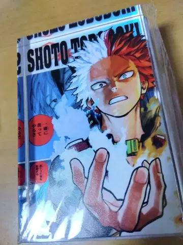 히로아카 토도로키 쇼토 아크릴 블록