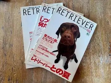 RETREIVER 잡지 세트 47권 1999년~