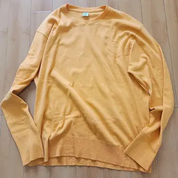 GICIPI Giaguaro 'SUN FLOWER'