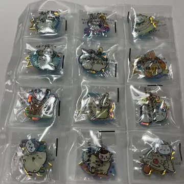 한국 치이카와 홀로그램 키링