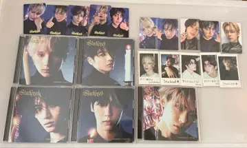 5가지 형태 세트 [Starkissed] Weverse 특전 5장 포함