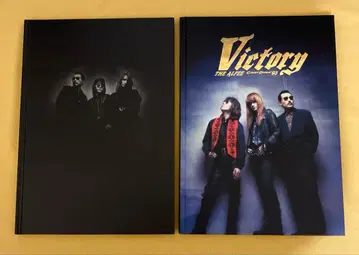 THE ALFEE 1993 팸플릿 2권 세트