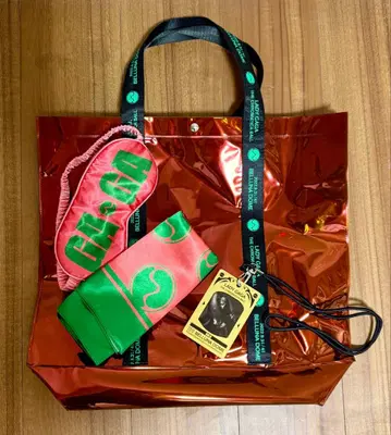 레이디 가가 내한 공연 GOLD 시트 한정판 굿즈&패스