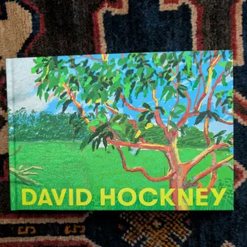 데이비드 호크니 전시 도록