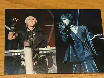 access Transient World 투어 추가 공연 혜택