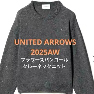 2025AW 유나이티드 애로우즈 플라워 스팽글 크루넥 니트