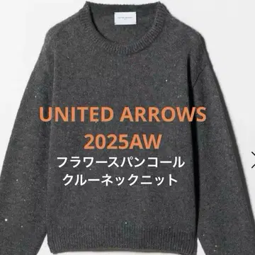 2025AW 유나이티드 애로우즈 플라워 스팽글 크루넥 니트