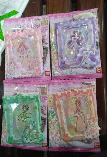 프리큐어 카드 홀더