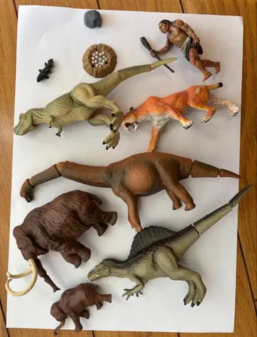 아니아 공룡 맘모스 사벨 타이거 묶음 판매