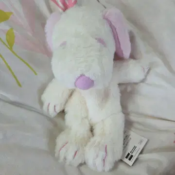 스누피 뮤지엄 핑크