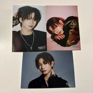 야마구치 단토 사진 세트