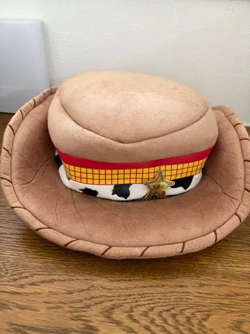 디즈니 팬캡 ( 우디 )