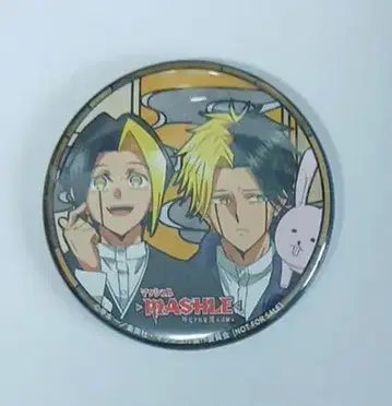 매쉬루 -MASHLE- 애니메이트 연동 구매 혜택 캔뱃지 레인 핀