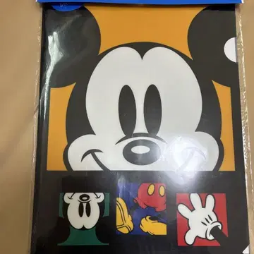 디즈니 리조트 투운타운 클리어 파일 5장 클리어 홀더 세트