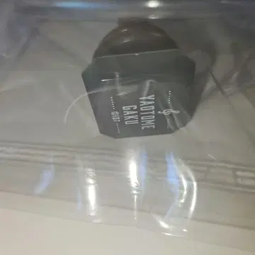 아이나나 야오토메 가쿠 링 라이트 린 라이 10주년 이벤트