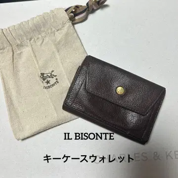 IL BISONTE