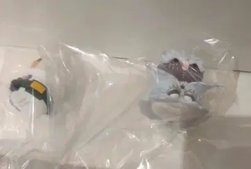 나의 히어로 아카데미아 히로아카 냥코 MEGACAT 미르코 다비