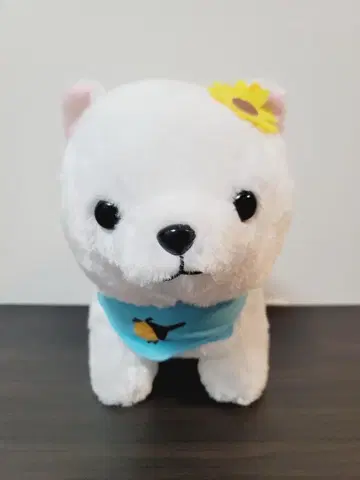 시라타마 마루타마 콩 시바 삼형제 썸머 JB 봉제 인형