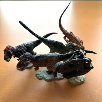 귀한 레어! 공룡 발굴기 티라노사우루스 5체 세트