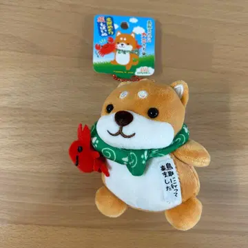 여행하는 마메시바 돗토리 한정판 게