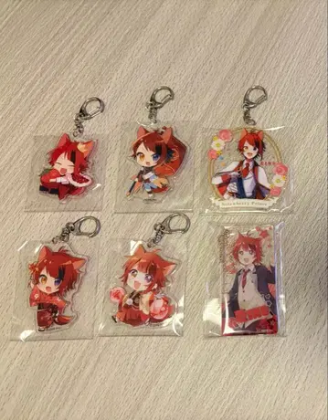 스토푸리 리이누 아크릴 키링 6개 세트