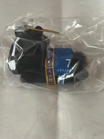 호스 히어로즈 D상 마스코트 배지 이퀴녹스