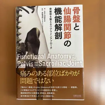 골반과 천장관절의 기능 해부학