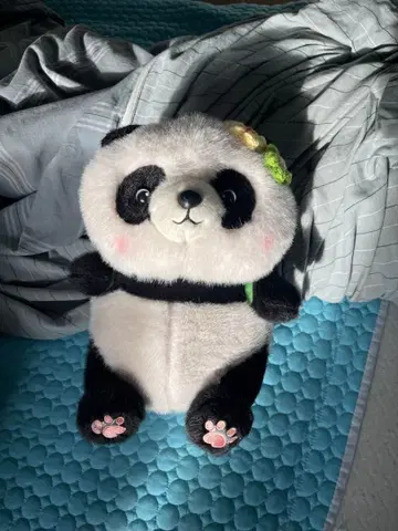 팬더 봉제 인형