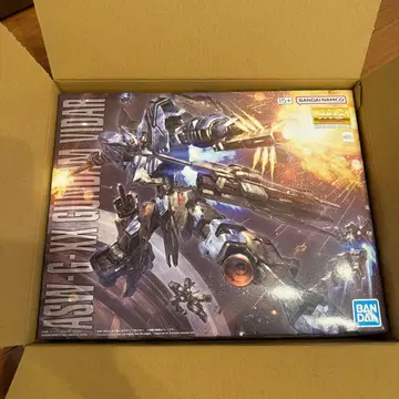 건담 프라모델 MG 비다르