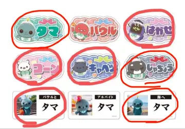 교육 방송 명찰 배치 묶음 판매