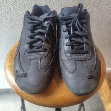 새상품급/PUMA x Ray BEAMS / 별주 스피도캣/24.5cm