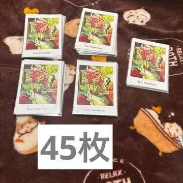 앙스타 파샤츠 토리