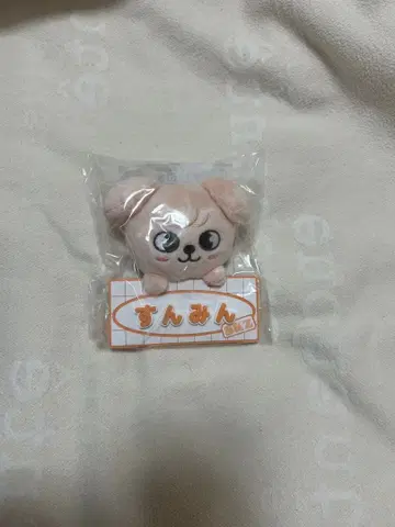 straykids 승민 네임 백참 미개봉 새상품