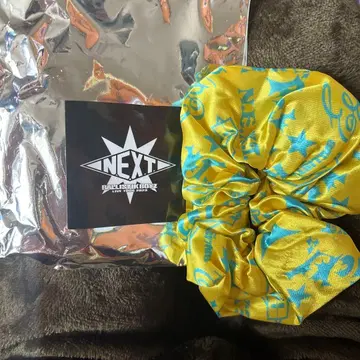 오쿠다 리키야 스크런치