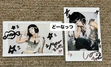 diig 시노 2024 친필 사인 폴라로이드