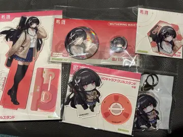 C107 명조 치사키 5종 세트