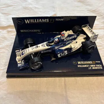 WILLIAMS F1 BMW FW26 J.P. MONTOYA 1/43