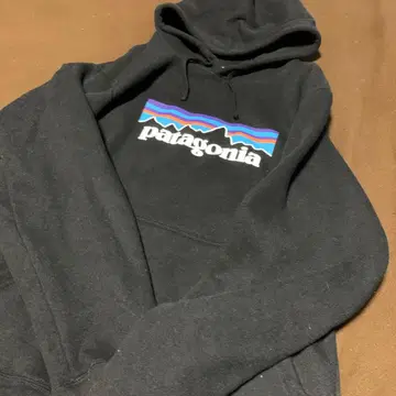 파타고니아 P-6 로고 업라이저 후디
