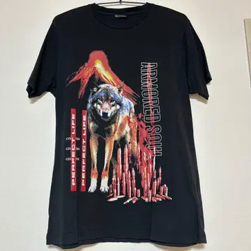 ARMORDED SOUL 블랙 T셔츠