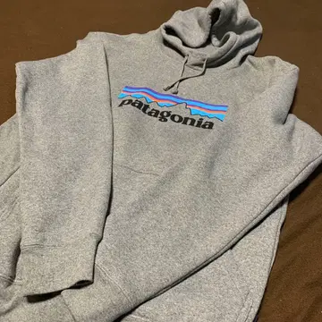 파타고니아 업라이저 후디